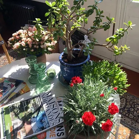 La Douce Folie Bed and Breakfast